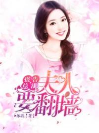 报告总裁，夫人要翻墙